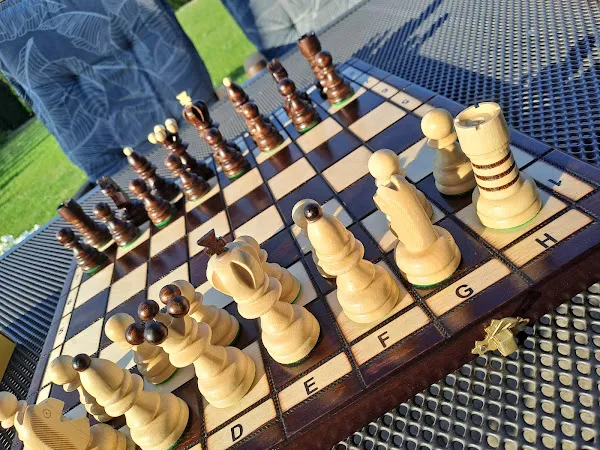 Juego De Ajedrez Magnético Portátil – 18 Piezas De Silicona, Tablero Y Cuerda, Resistente Al Calor Y Frío