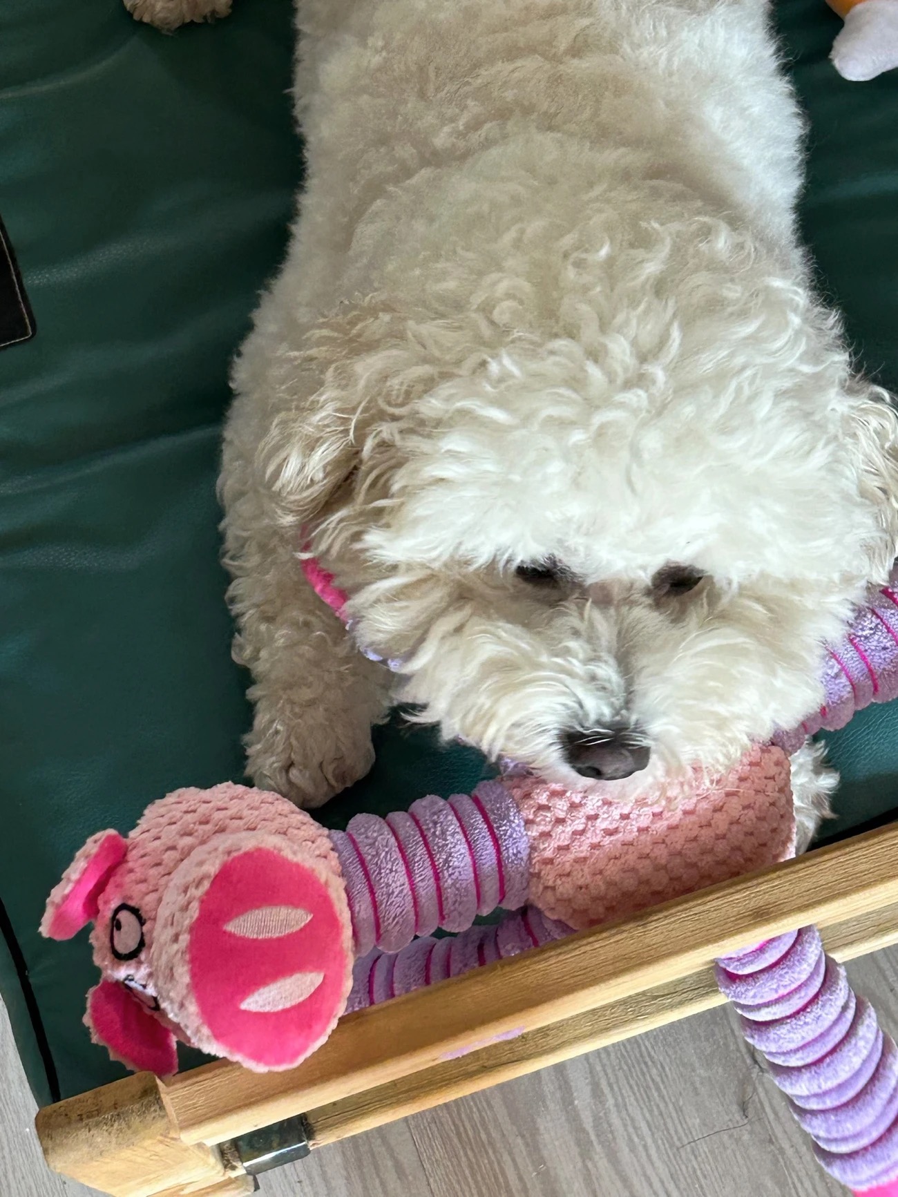 Review image 3234933