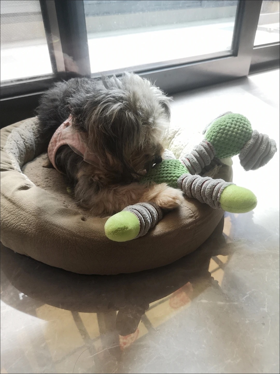 Review image 3234936