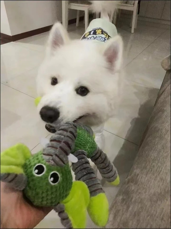 Review image 3234981