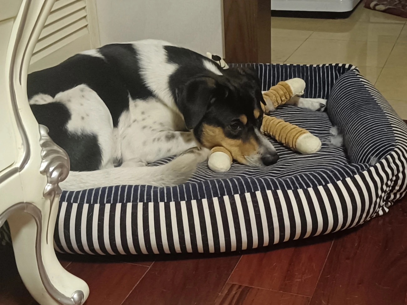 Review image 3234978