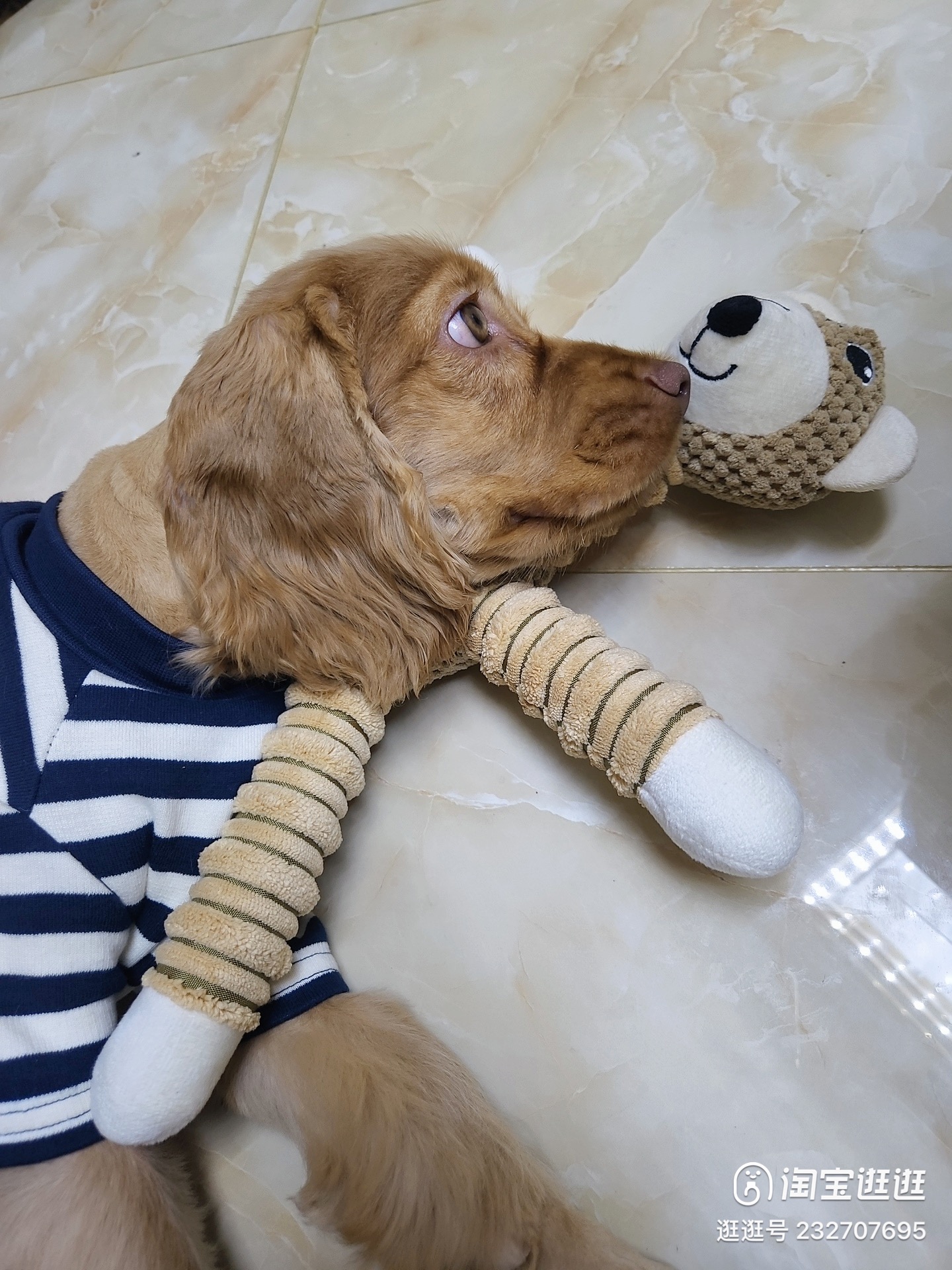 Review image 3234934