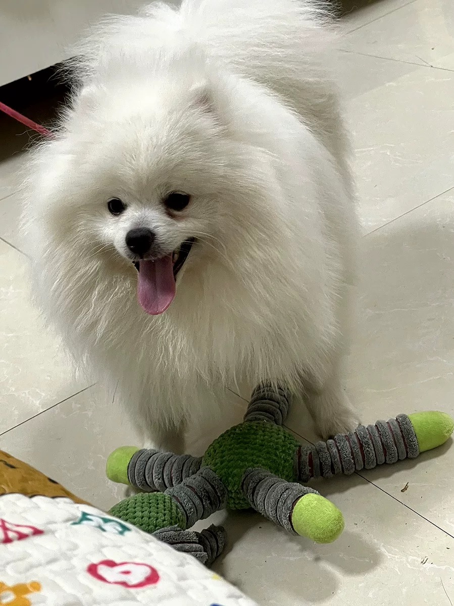 Review image 3234979