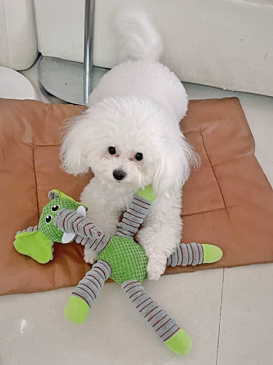 Review image 3234980